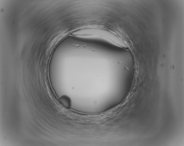 X0000070830001200607071753