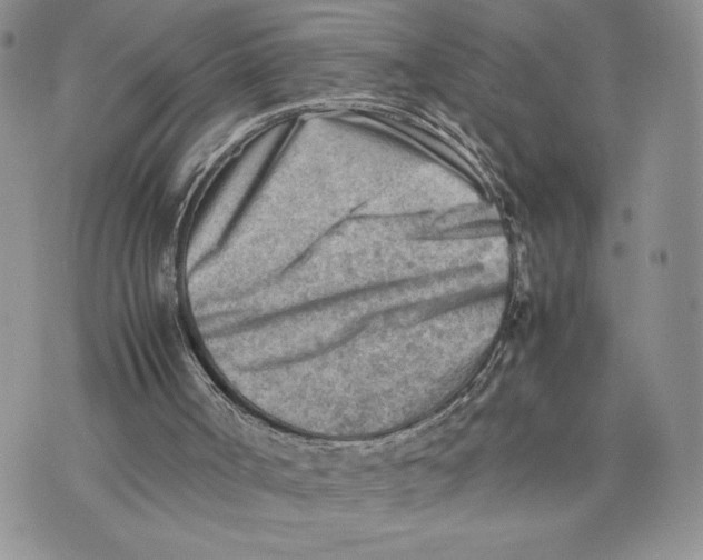 X0000070830002200607071753