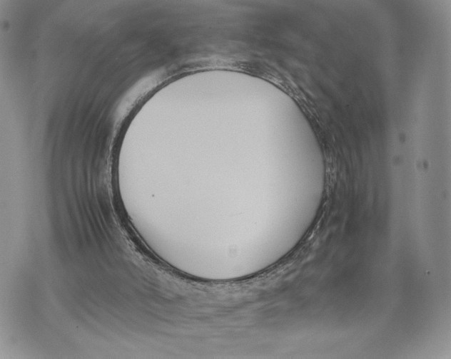 X0000070830006200607071753