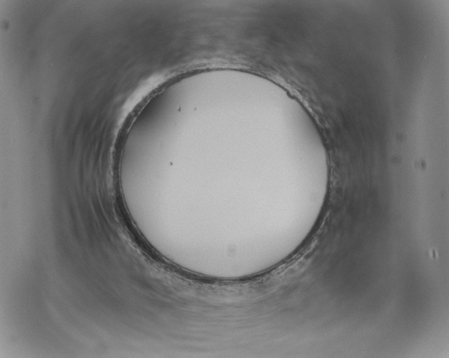 X0000070830008200607071753