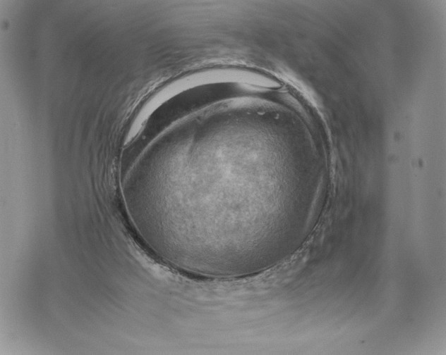 X0000070830009200607071753