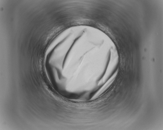 X0000070830010200607071753