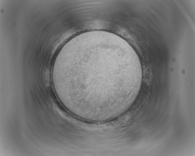 X0000070830012200607071753