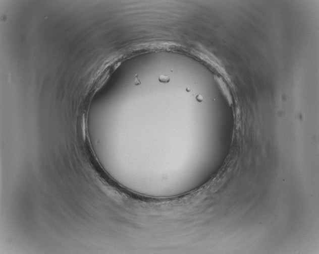 X0000070830013200607071753