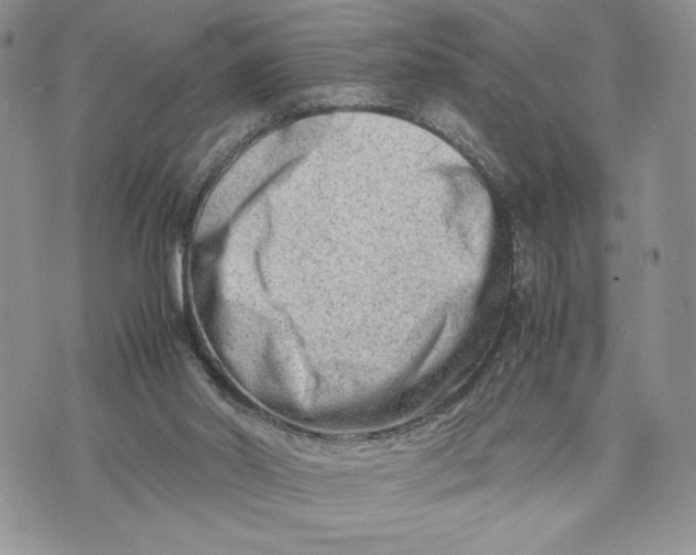 X0000070830014200607071753