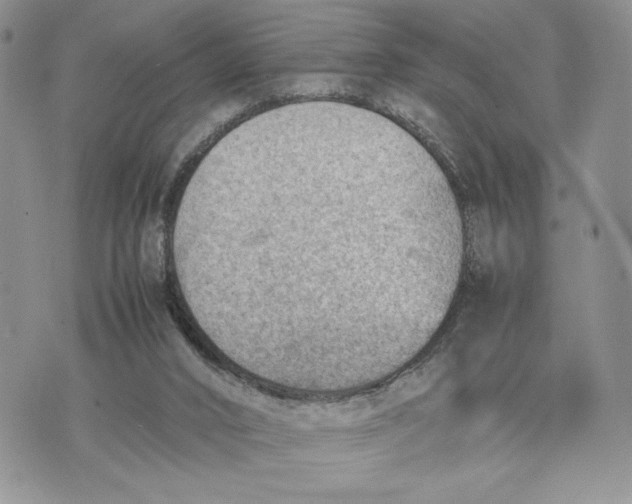 X0000070830016200607071753