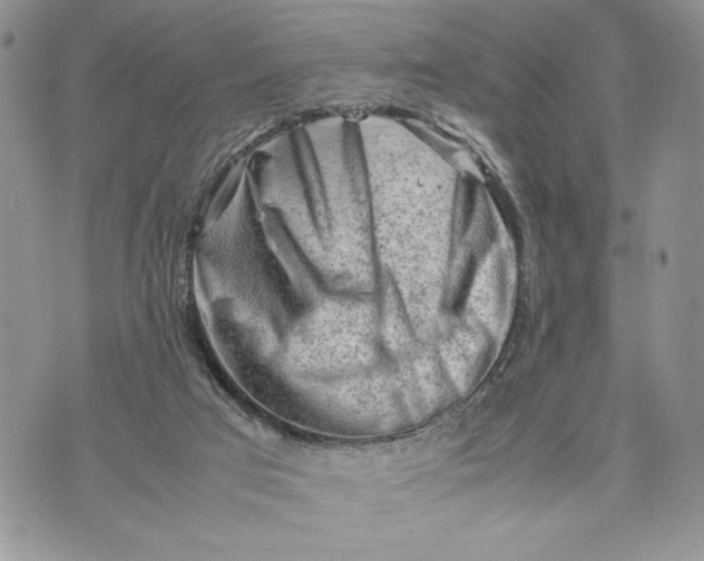 X0000070830017200607071753