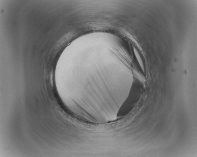 X0000070830019200607071753