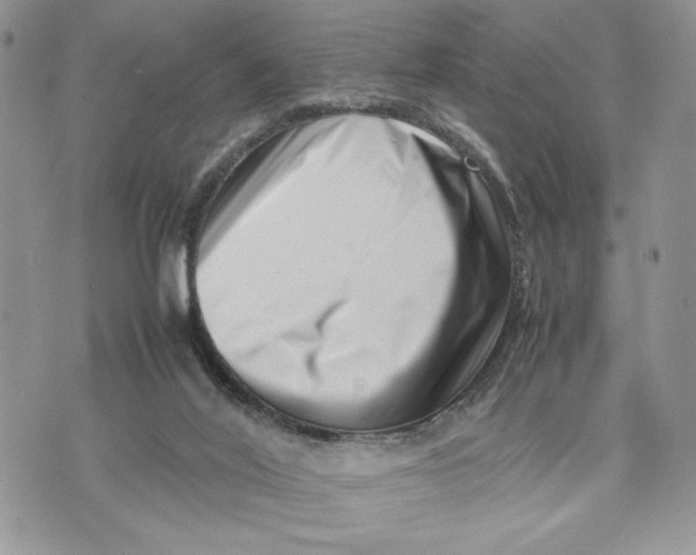 X0000070830020200607071753