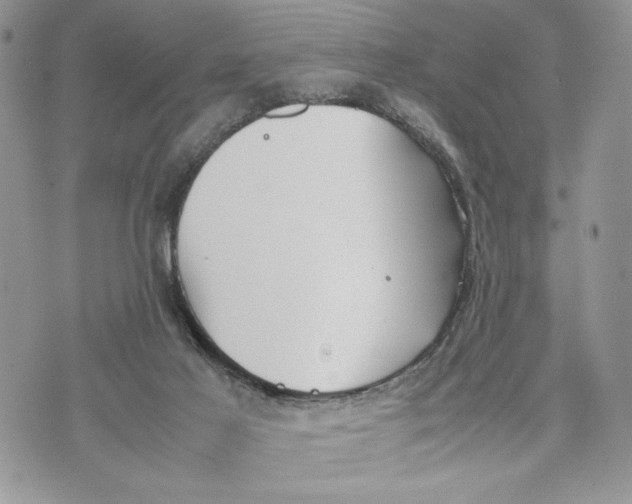 X0000070830021200607071753