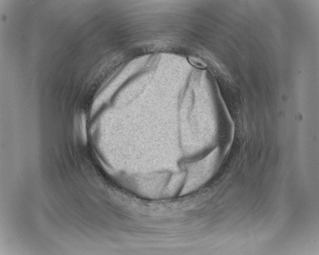 X0000070830022200607071753