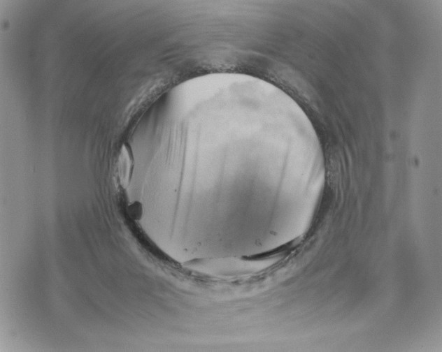 X0000070830023200607071753