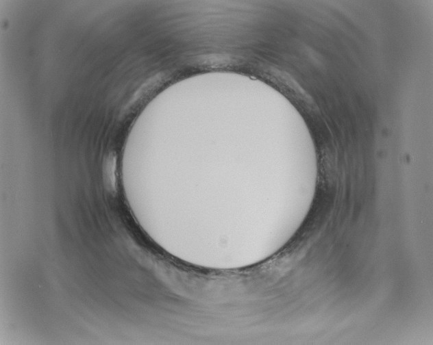 X0000070830024200607071753