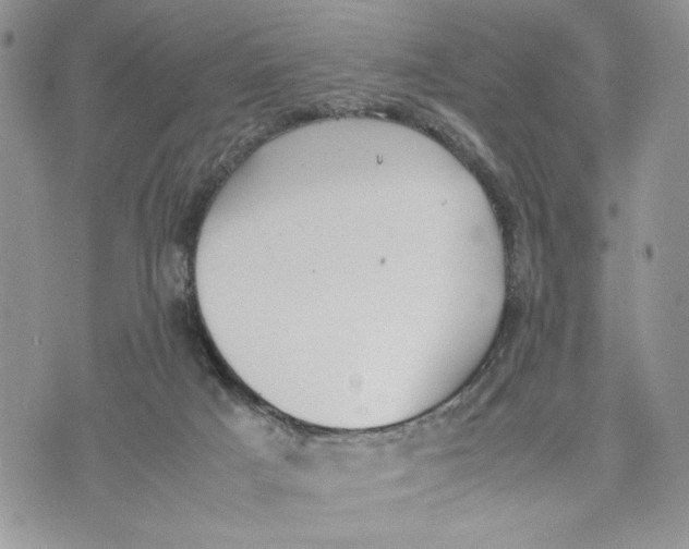 X0000070830025200607071753