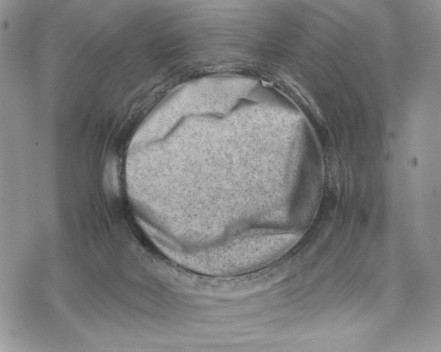 X0000070830026200607071753