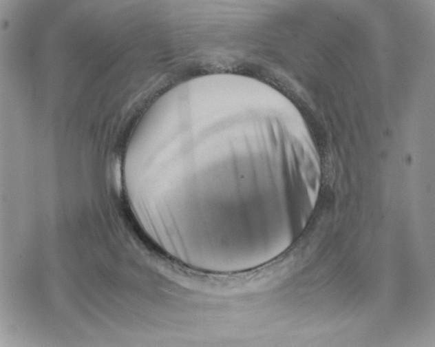 X0000070830027200607071753