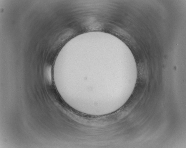 X0000070830028200607071753