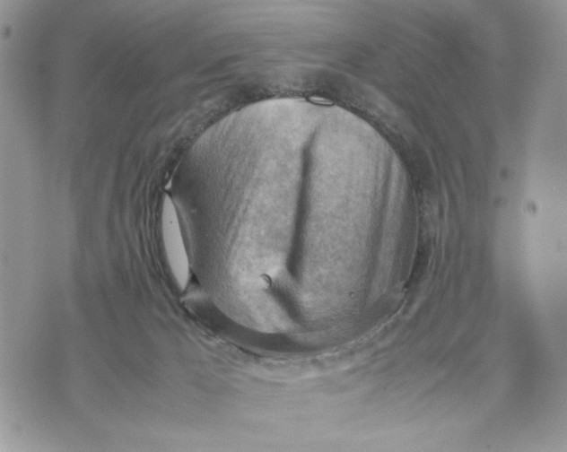 X0000070830029200607071753