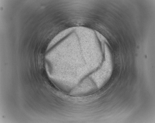 X0000070830030200607071753