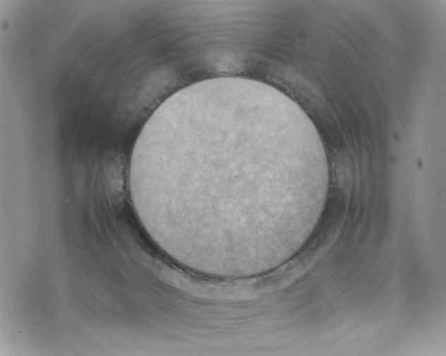 X0000070830032200607071753