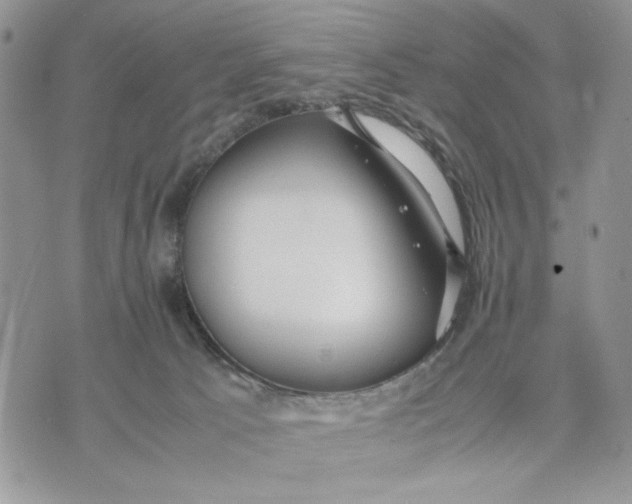 X0000070830033200607071753