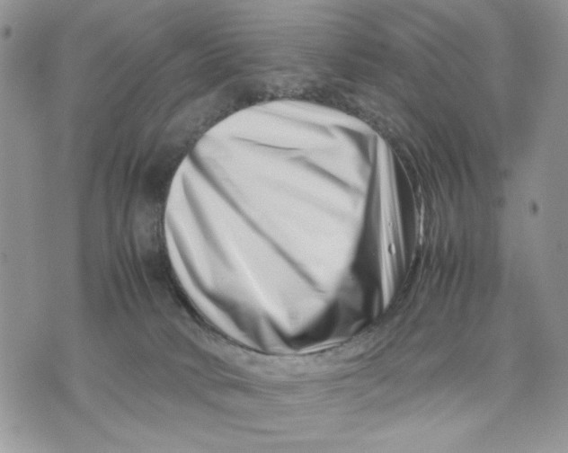 X0000070830034200607071753