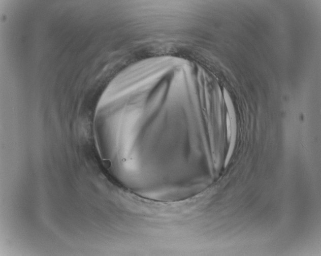 X0000070830035200607071753