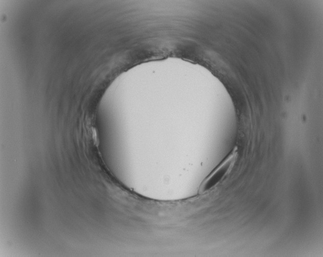 X0000070830037200607071753