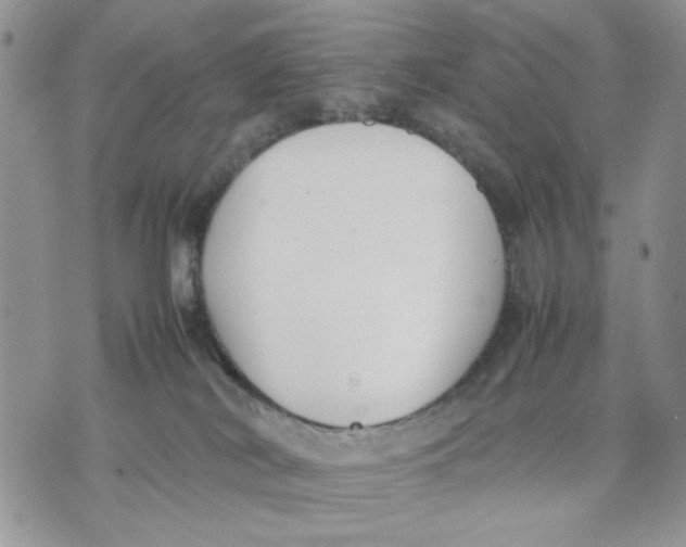 X0000070830038200607071753