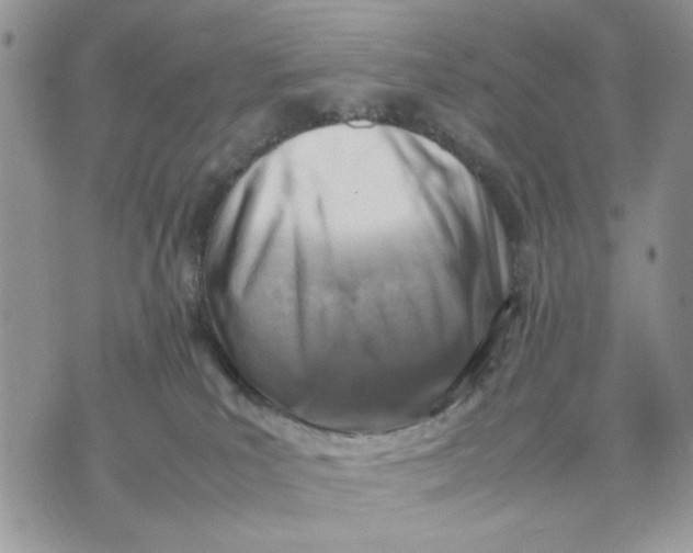 X0000070830039200607071753