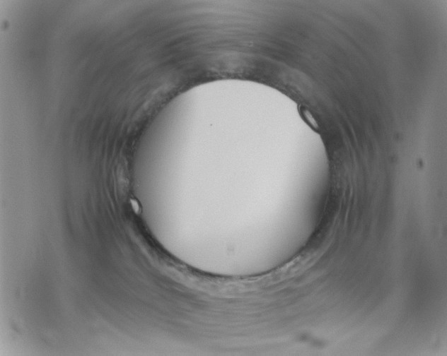 X0000070830040200607071752