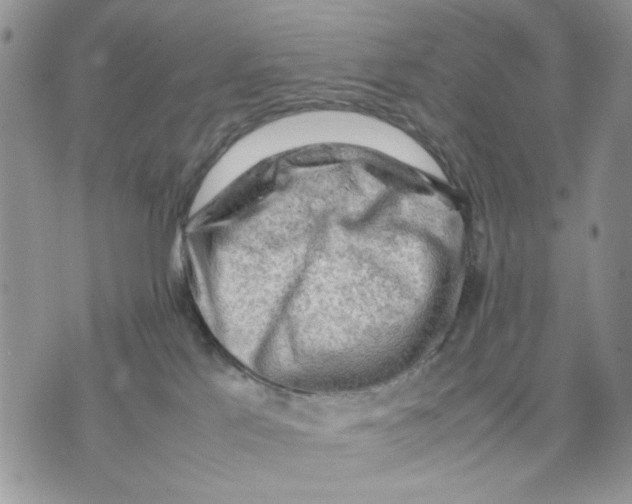 X0000070830041200607071752