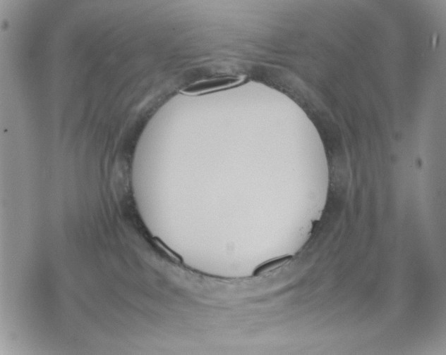 X0000070830043200607071752