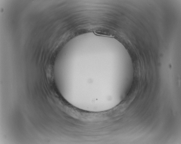 X0000070830044200607071752