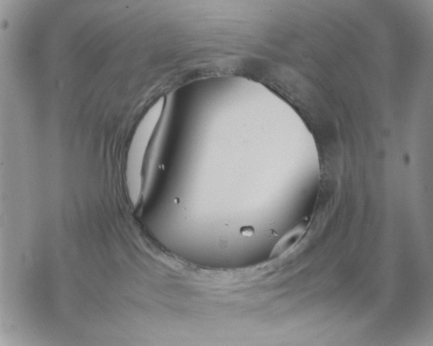 X0000070830045200607071752