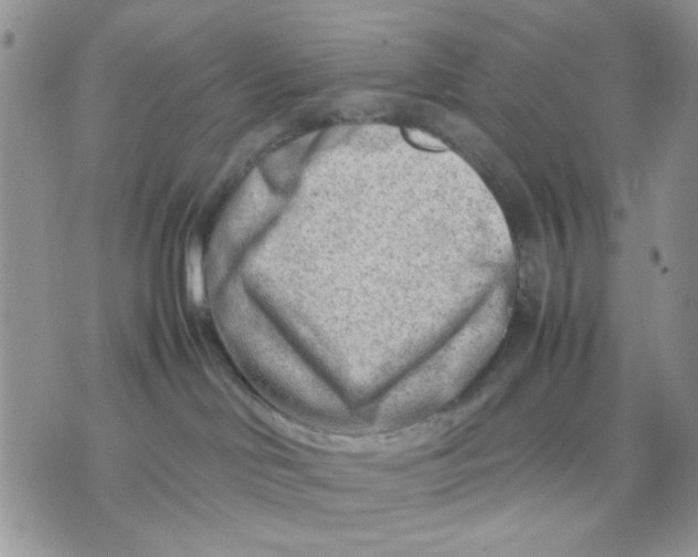 X0000070830046200607071752