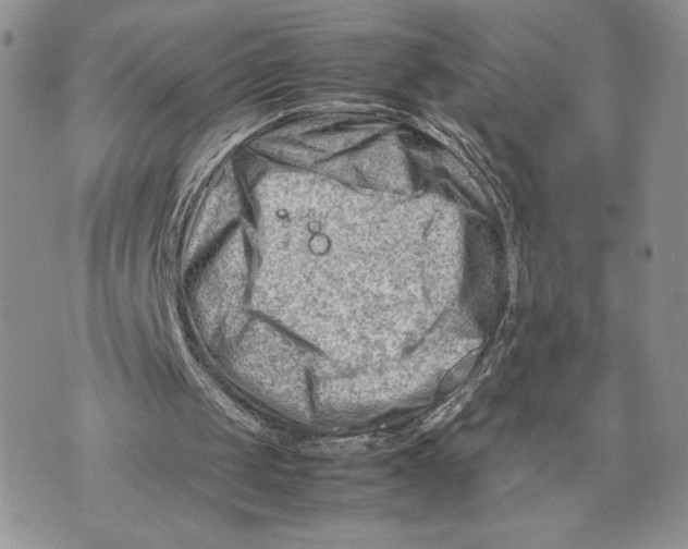 X0000070830049200607071752