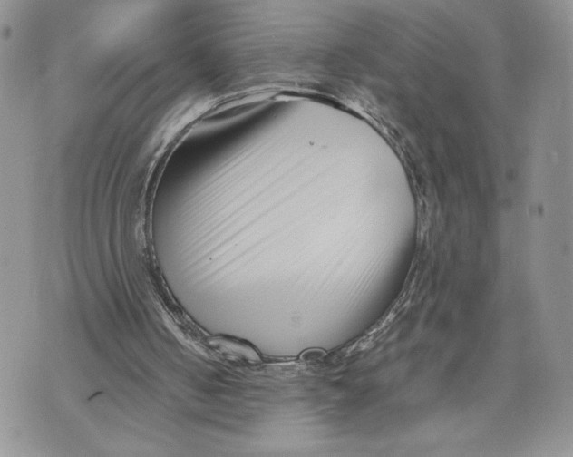 X0000070830050200607071752