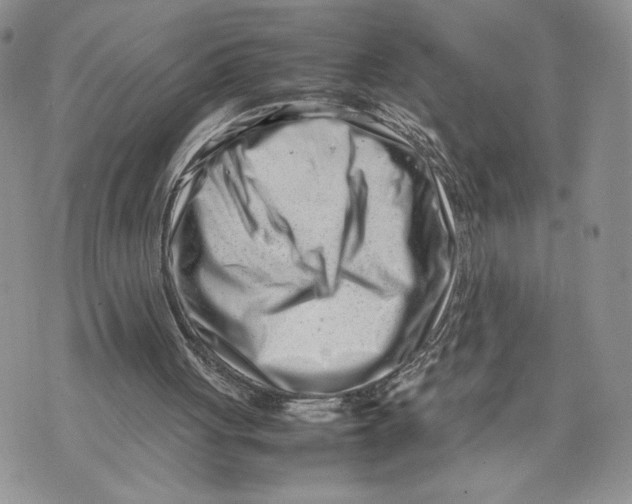 X0000070830051200607071752