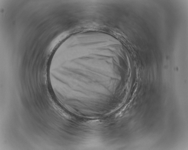 X0000070830054200607071752