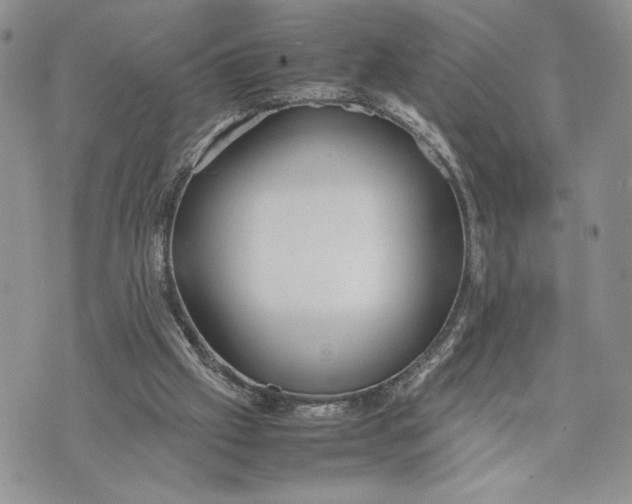 X0000070830057200607071752