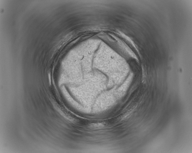 X0000070830061200607071752