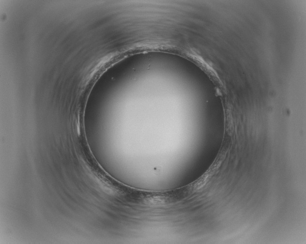 X0000070830062200607071752