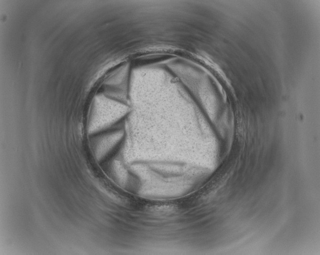 X0000070830063200607071752