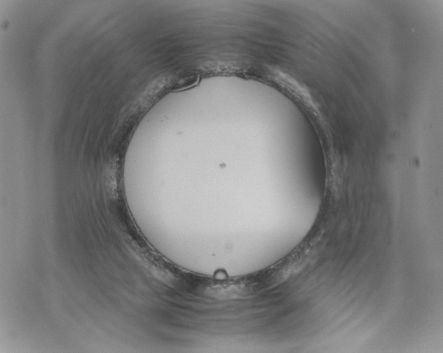 X0000070830065200607071752