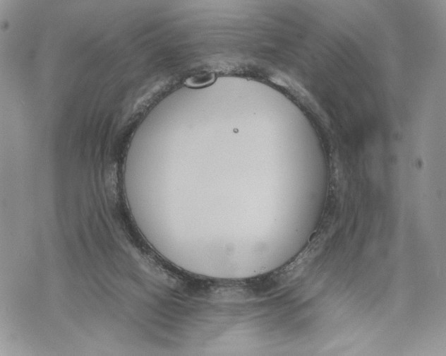 X0000070830066200607071752