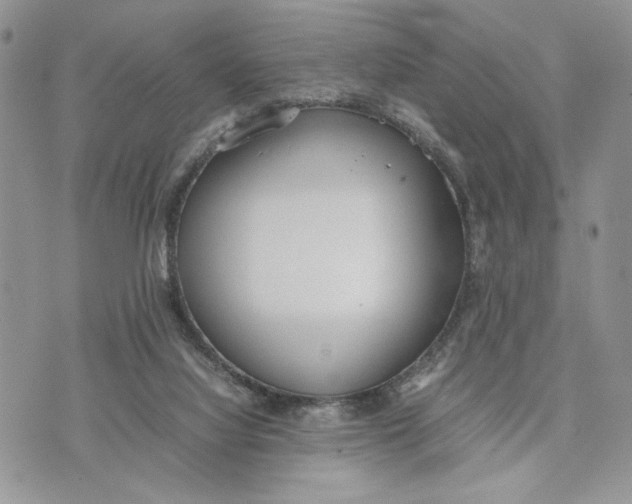 X0000070830068200607071752