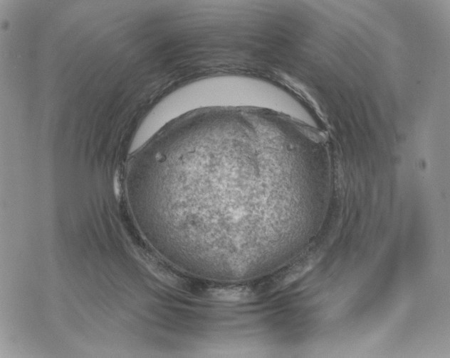 X0000070830069200607071752