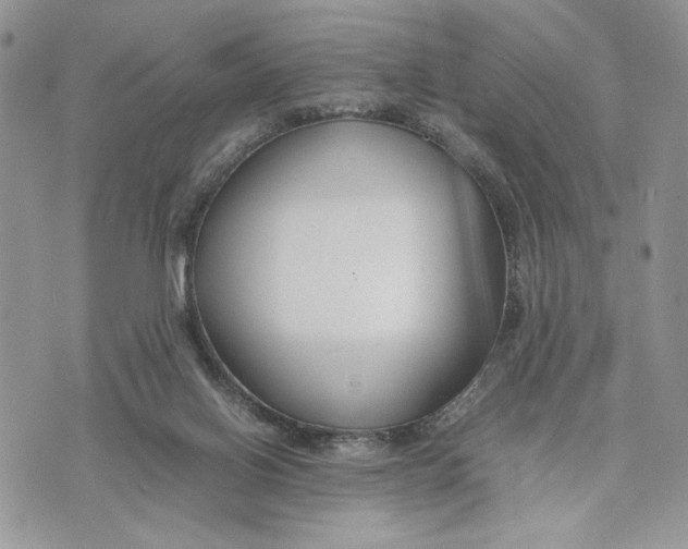 X0000070830070200607071752