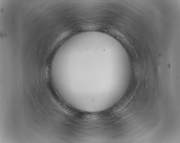 X0000070830071200607071752